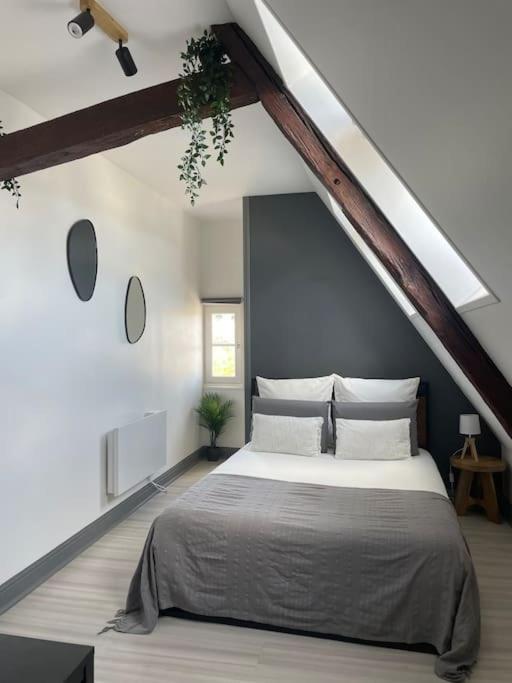 Apartment Duplex Bord De L'eure - Parking Inclus - Jolie Vue Sur La Cathedrale Chartres