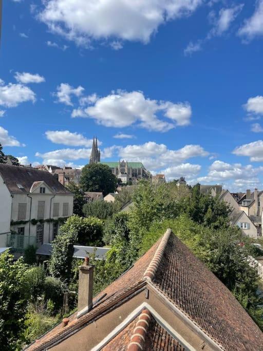 Duplex Bord De L'eure - Parking Inclus - Jolie Vue Sur La Cathedrale * Chartres